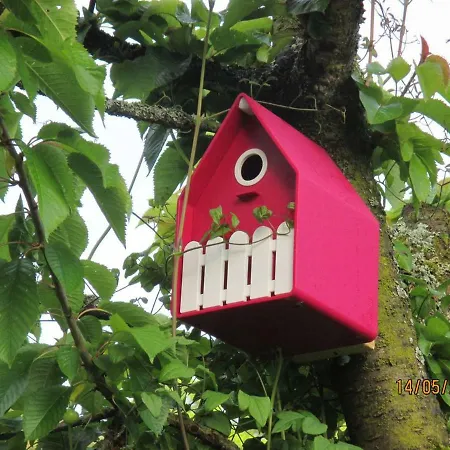 La Romaine Dog Included Proche De * 杜柏